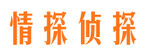 巴南寻人公司